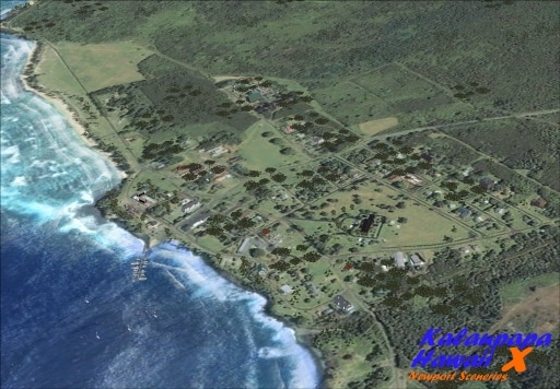 newport-hawaii