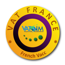 VATSim  France