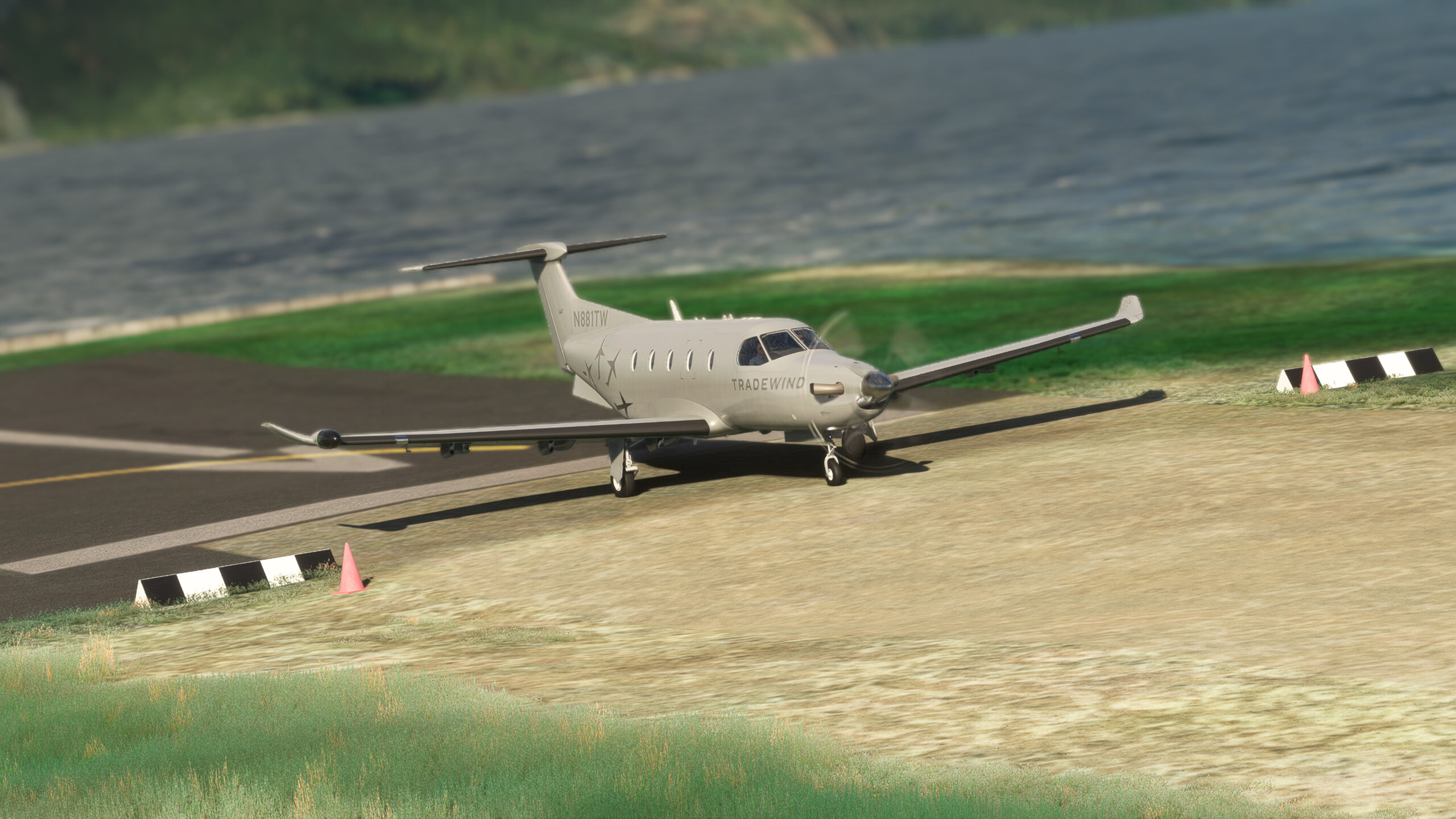 Microsoft Flight Simulator Introduces the Carenado PC12 into the